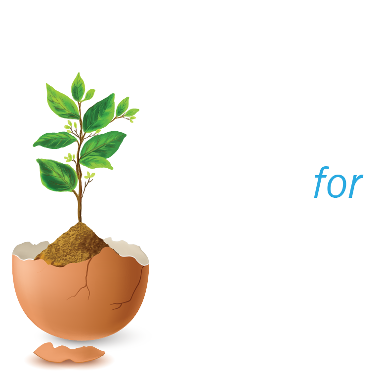 Why Attend Decorative Text